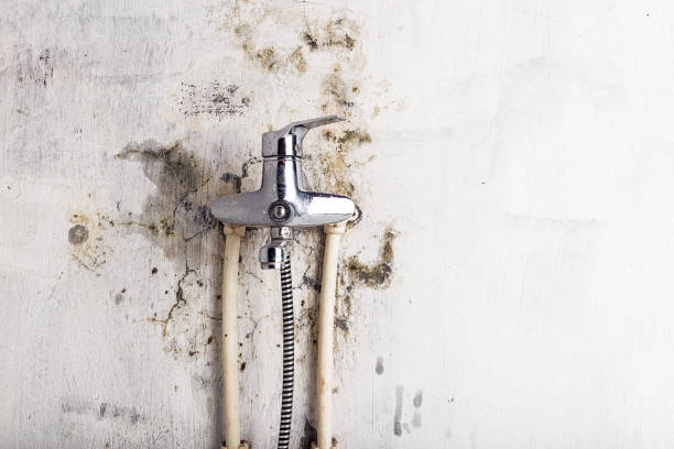 Professional Mold Remediation in Hillside Lake, NY